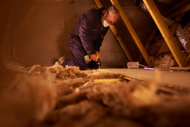 Eco-Friendly Insulation Solutions in Windy Hills, KY